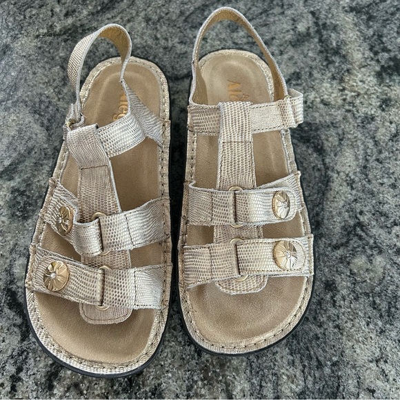 Alegria Klio Gold Sandals with Adjustable Straps and Cushioned Footbed - Picture 1 of 7
